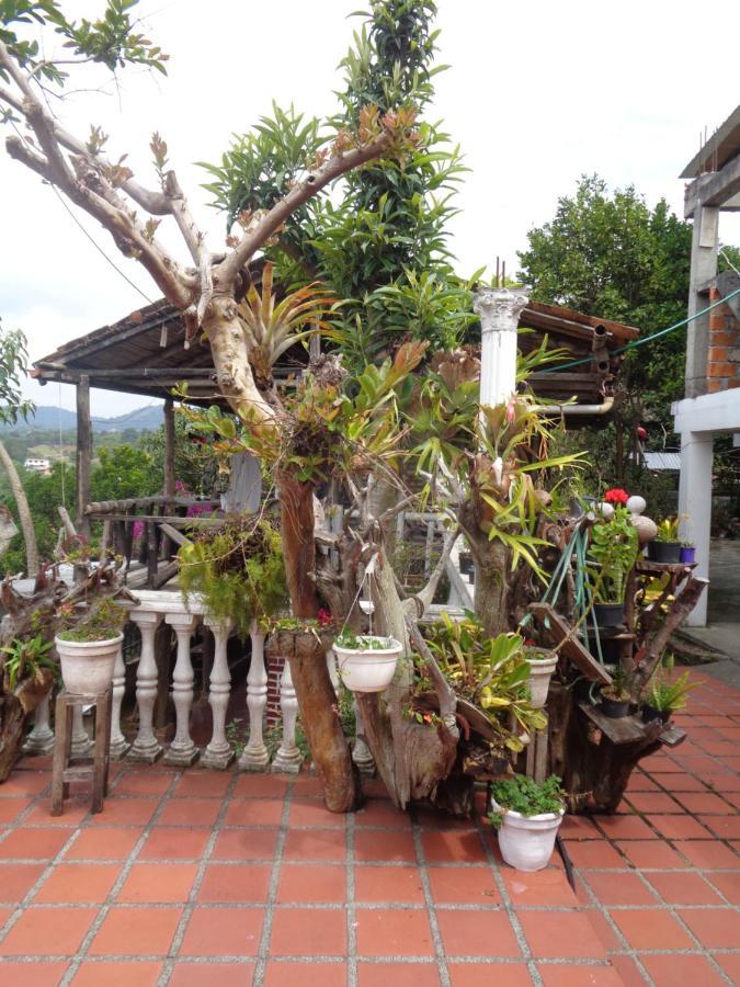 Hostal Loco Locombia San Agustín 外观 照片